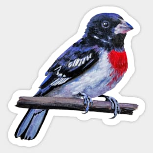 Rose Breasted Grosbeak bird painting (no background) Sticker